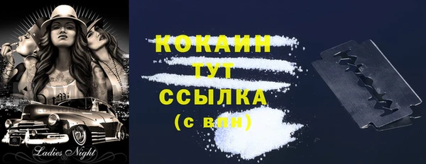 тгк Алексин