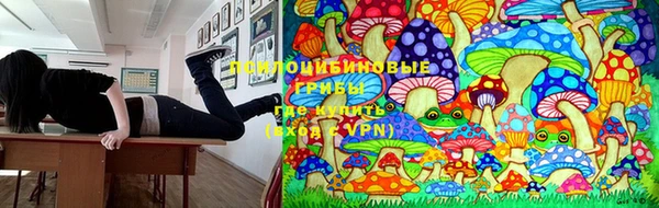 стаф Алексеевка