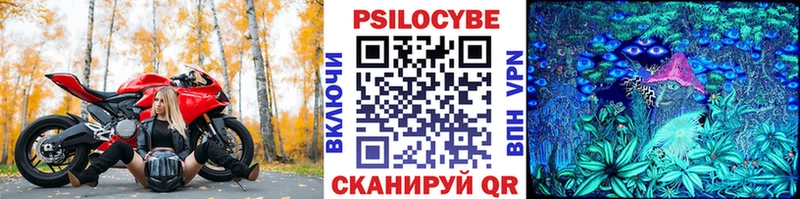 где купить наркоту  Рыбное  Галлюциногенные грибы Psilocybine cubensis 